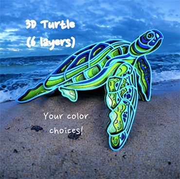 3D Turtle