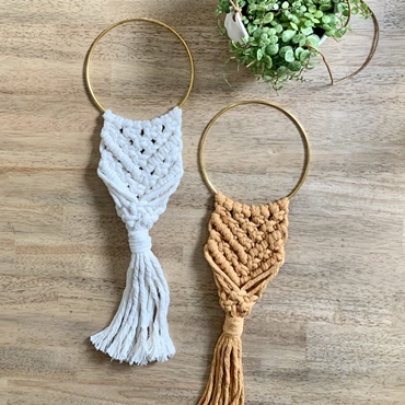Macrame Airplant Wall Hanging