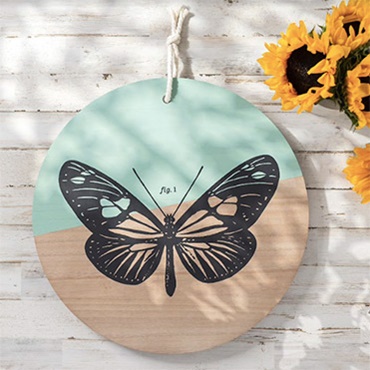 Butterflies Project